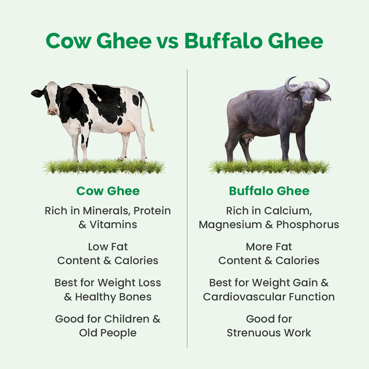 Auric A2 Ghee : Grass - Fed Ghee, Keto, Pasture Raised, Lactose and Casein Free, Certified Paleo - from the land of Lord Krishna - auric