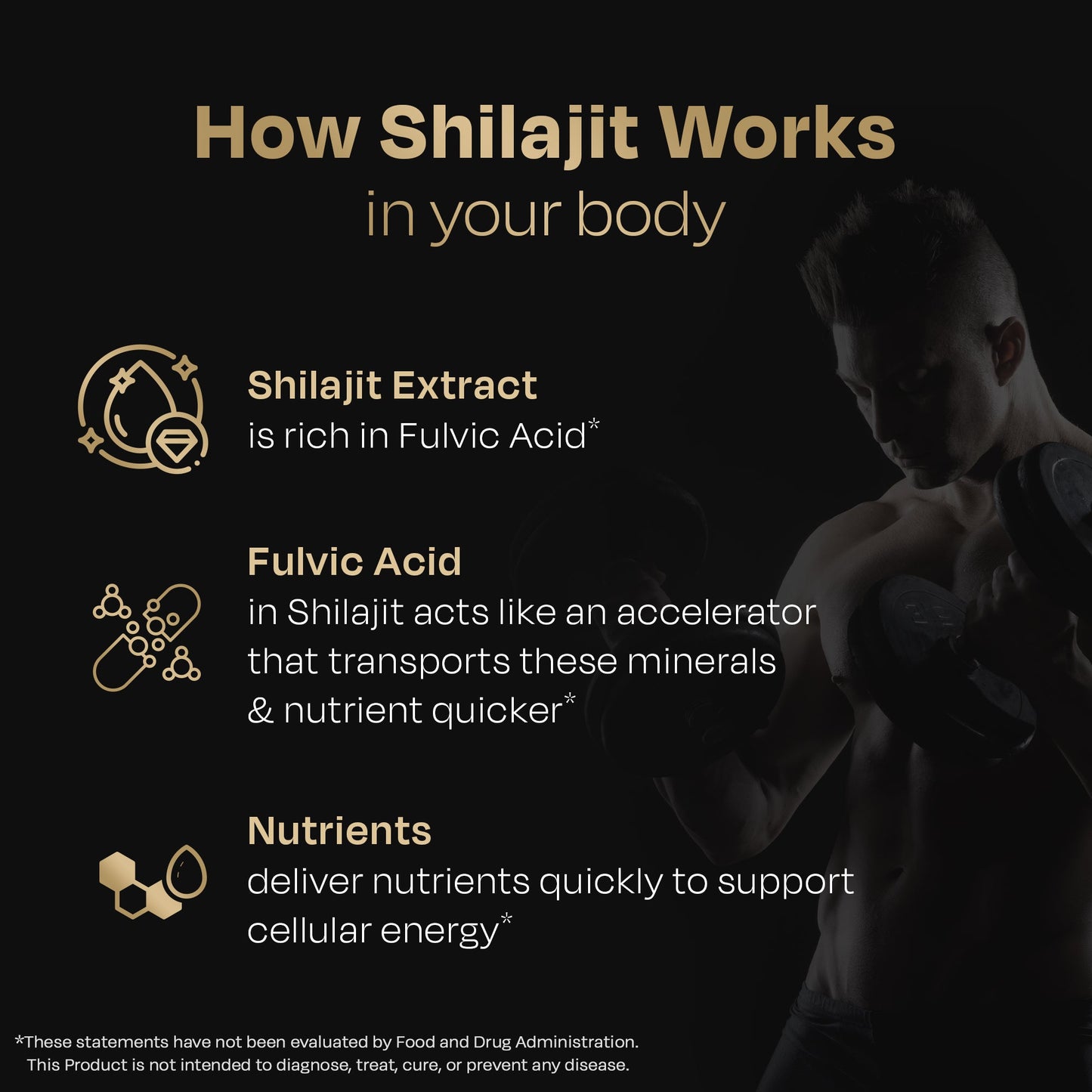 Most Potent High Altitude Shilajit Resin - auric