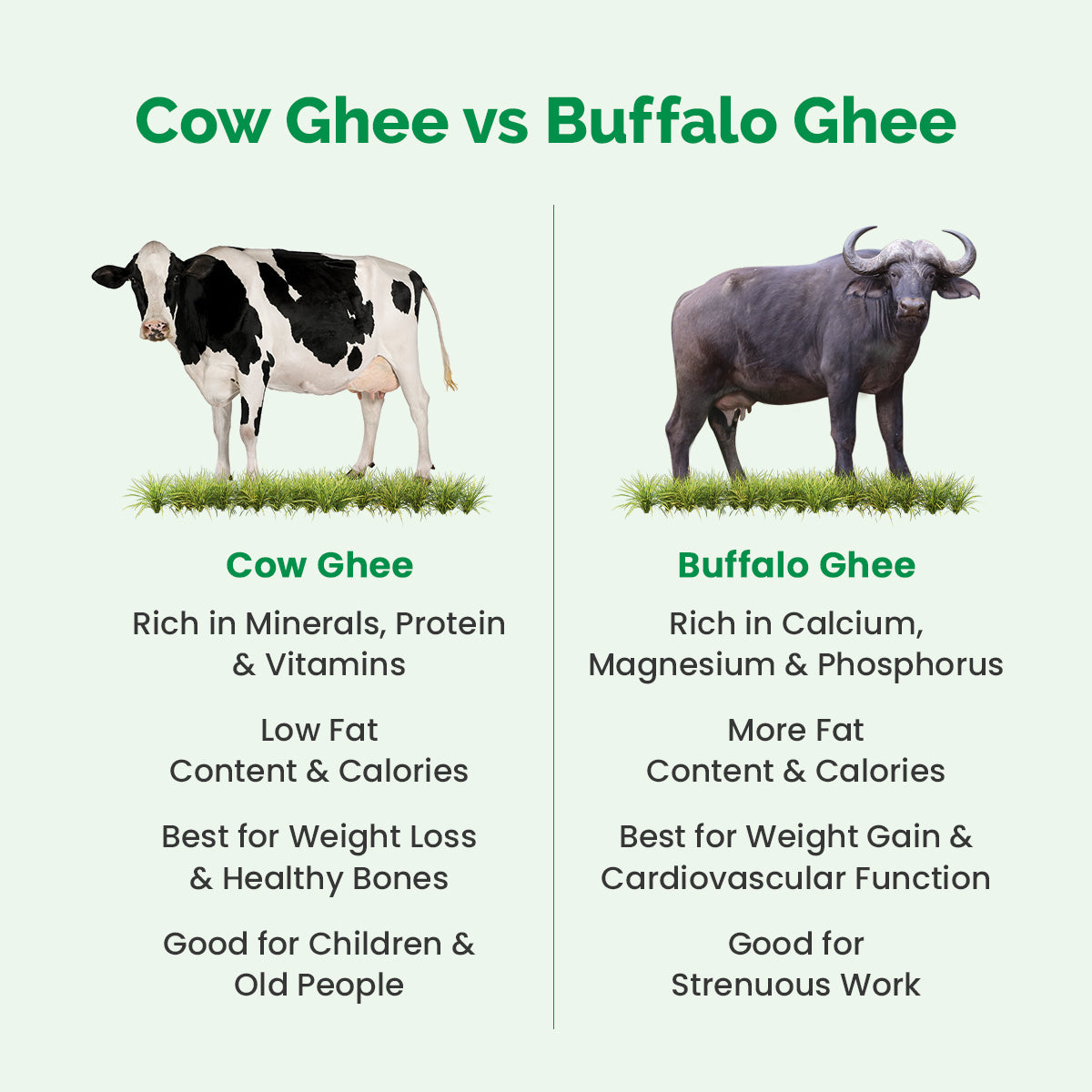 Auric A2 Ghee : Grass-Fed Ghee, Keto, Pasture Raised, Lactose and Casein Free, Certified Paleo - from the land of Lord Krishna