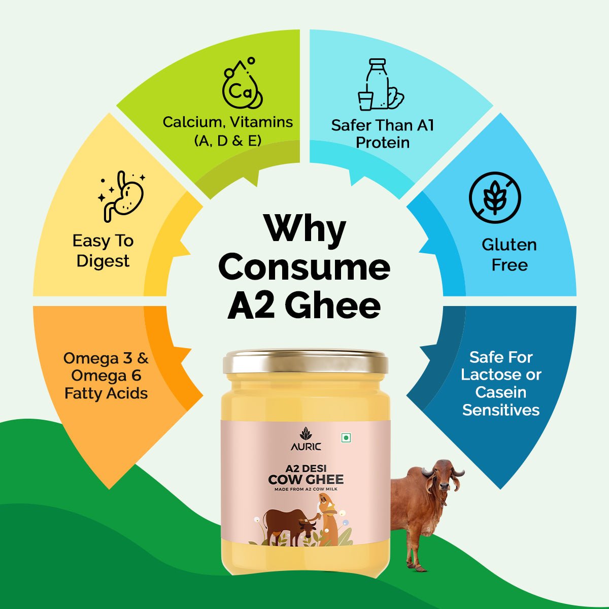 Auric A2 Ghee : Grass - Fed Ghee, Keto, Pasture Raised, Lactose and Casein Free, Certified Paleo - from the land of Lord Krishna - auric