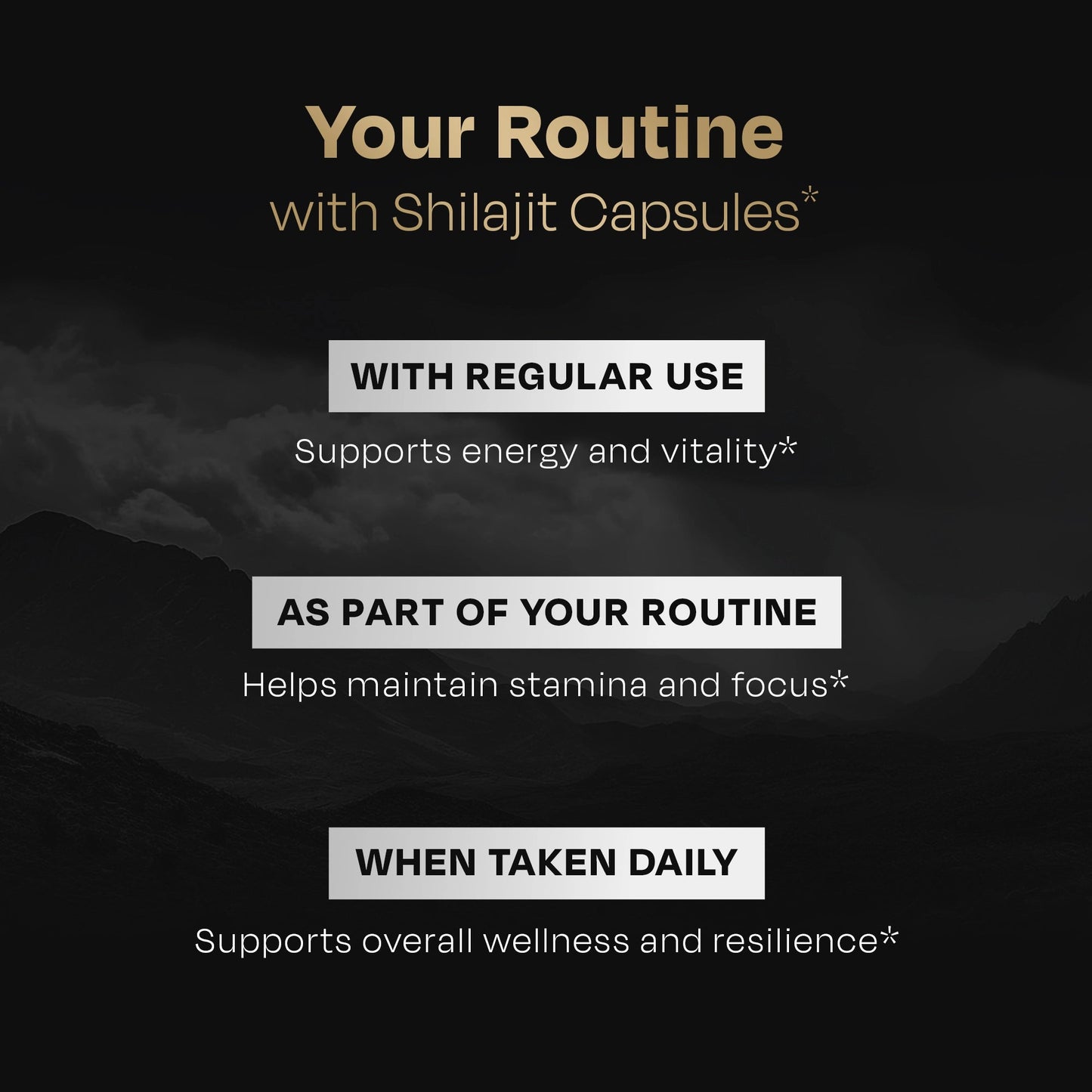 High Altitude Shilajit Resin - auric