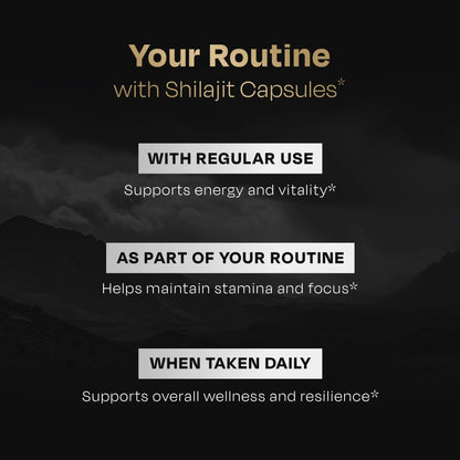 High Altitude Shilajit Resin - auric