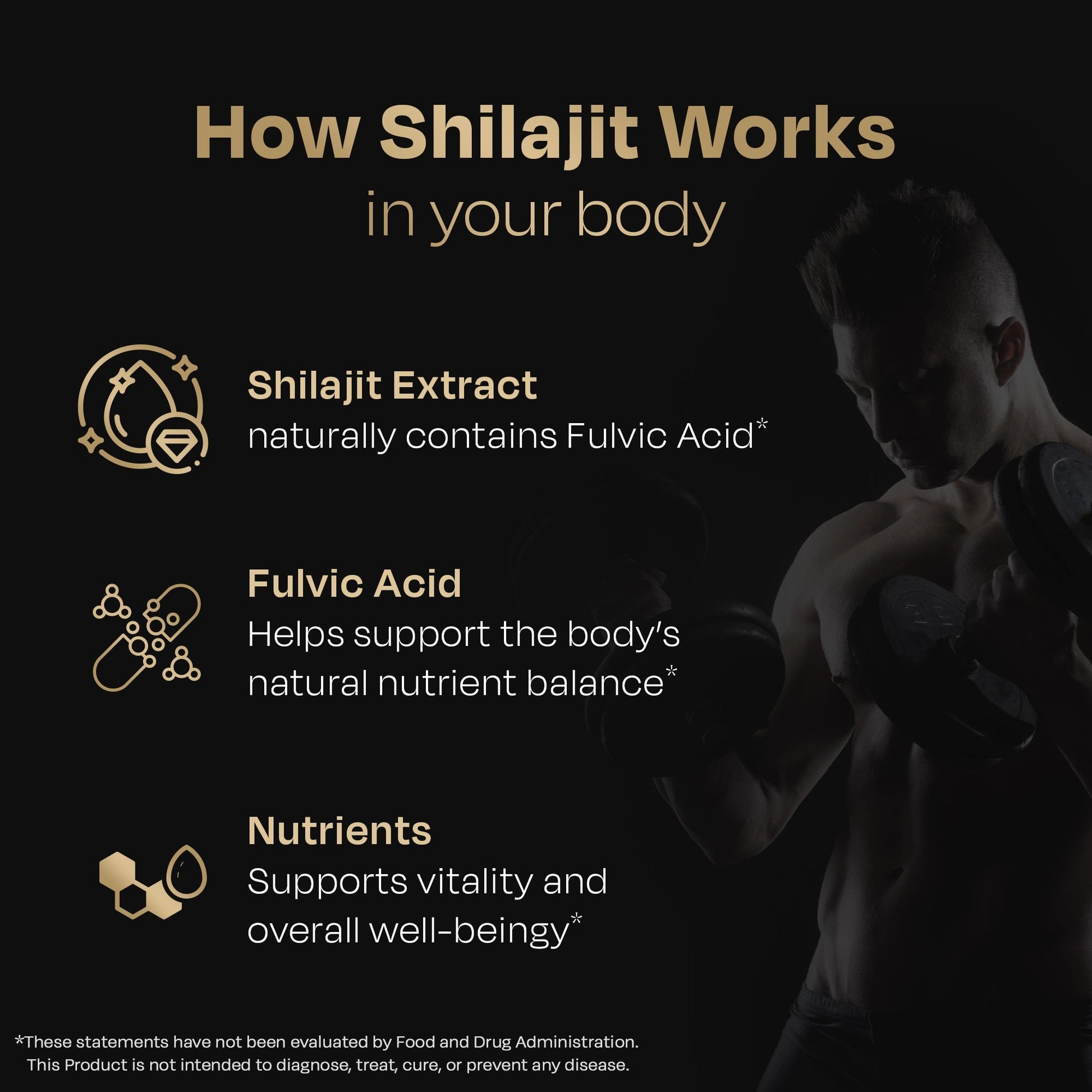 High Altitude Shilajit Resin - auric