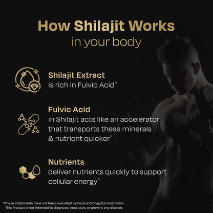Most Potent High Altitude Shilajit Resin - auric
