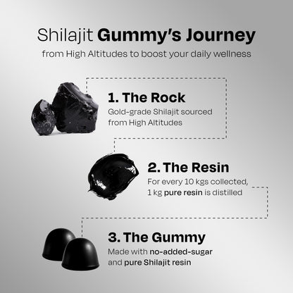 Most Potent High Altitude Shilajit Resin - auric