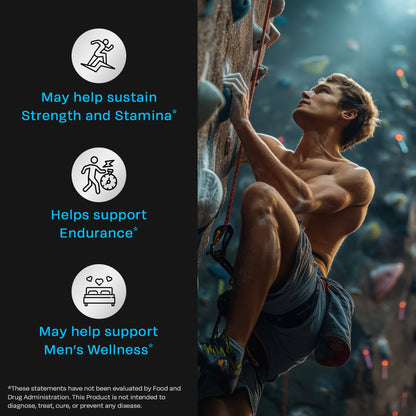 Testo 365 Effervescent Tablets - auric